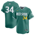 Boston Red Sox David Ortiz Nike Green 2025 City Connect Limited Retired Player Jersey