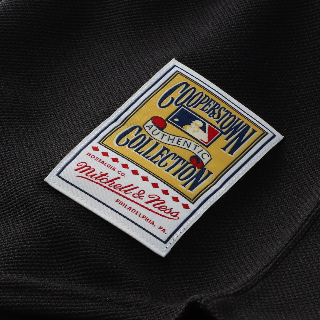 Florida Marlins Dontrelle Willis Mitchell & Ness Black Cooperstown Collection Mesh Batting Practice Button-Up Jersey