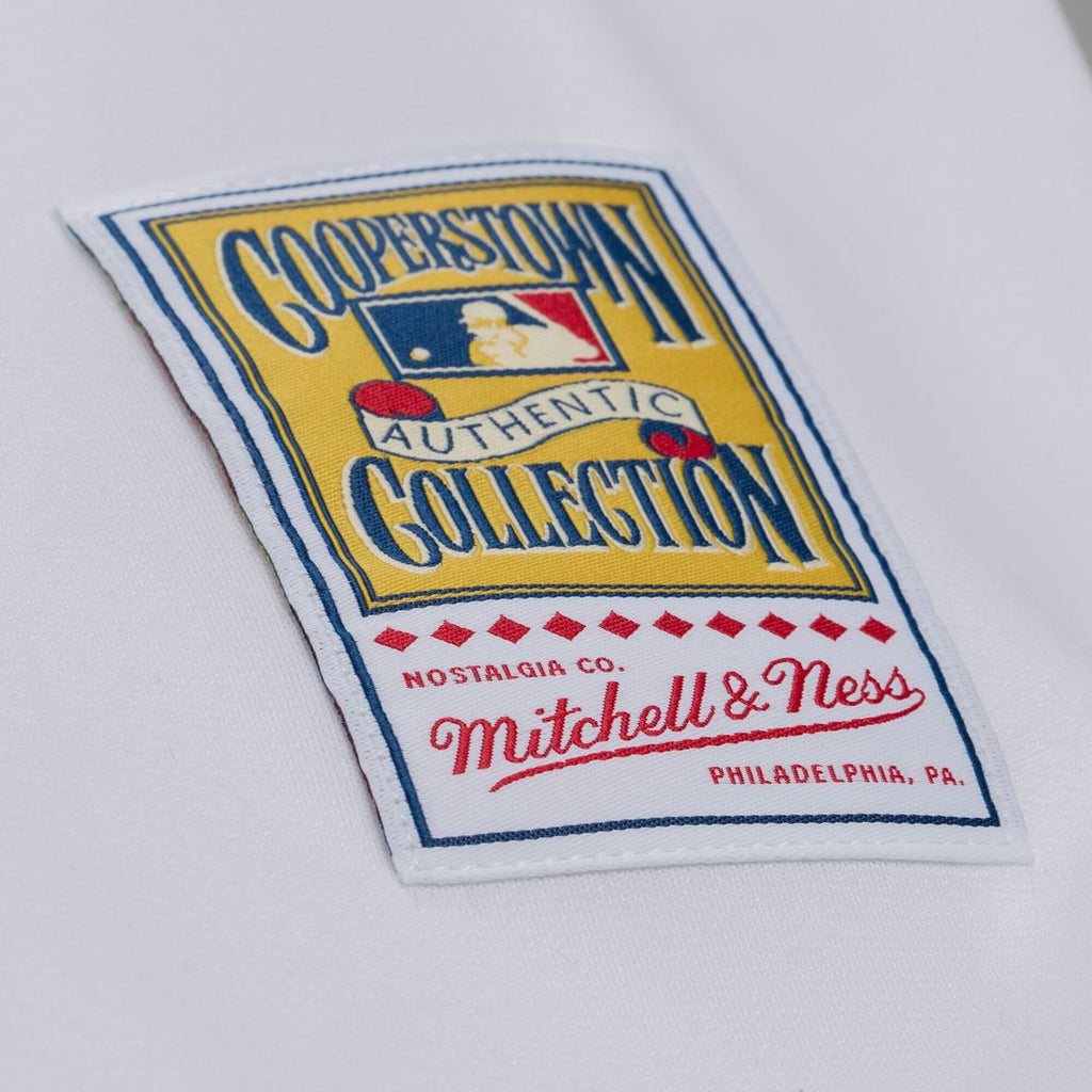 Atlanta Braves Andruw Jones Mitchell & Ness White 2005 Authentic Jersey