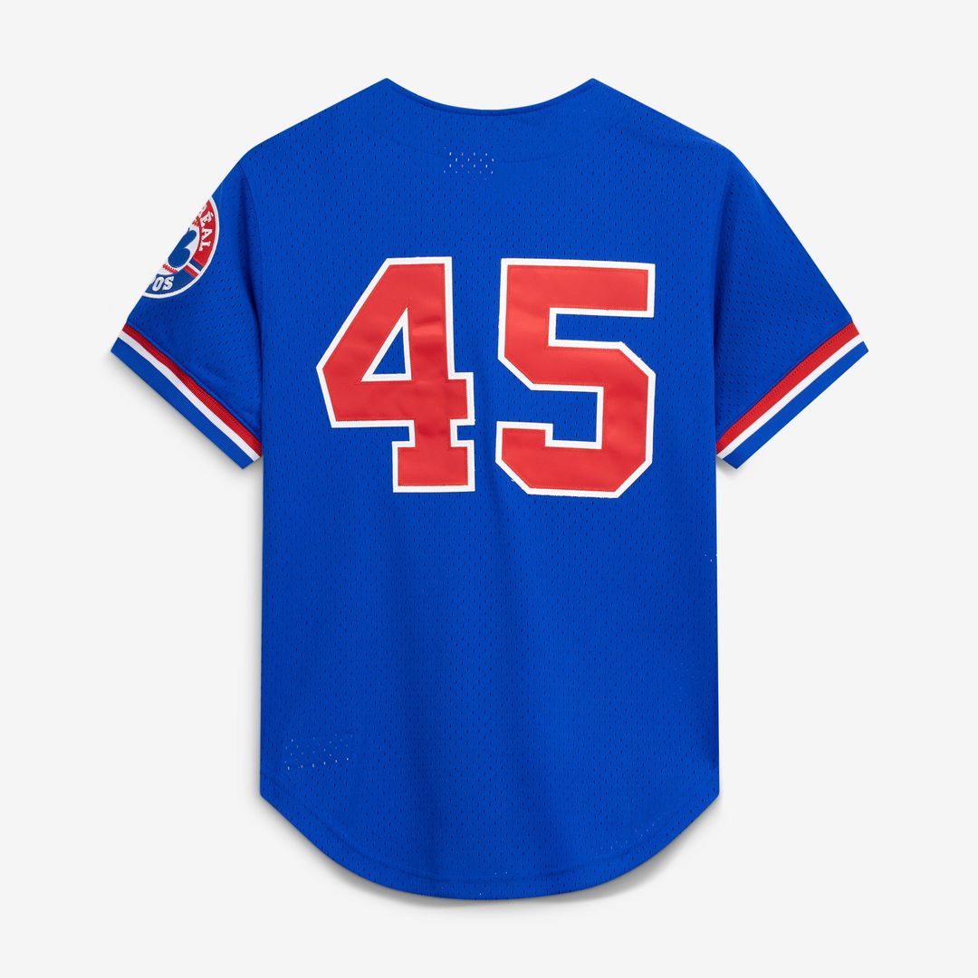Montreal Expos Pedro Martinez Mitchell & Ness Blue Cooperstown Collection Mesh Batting Practice Button-Up Jersey