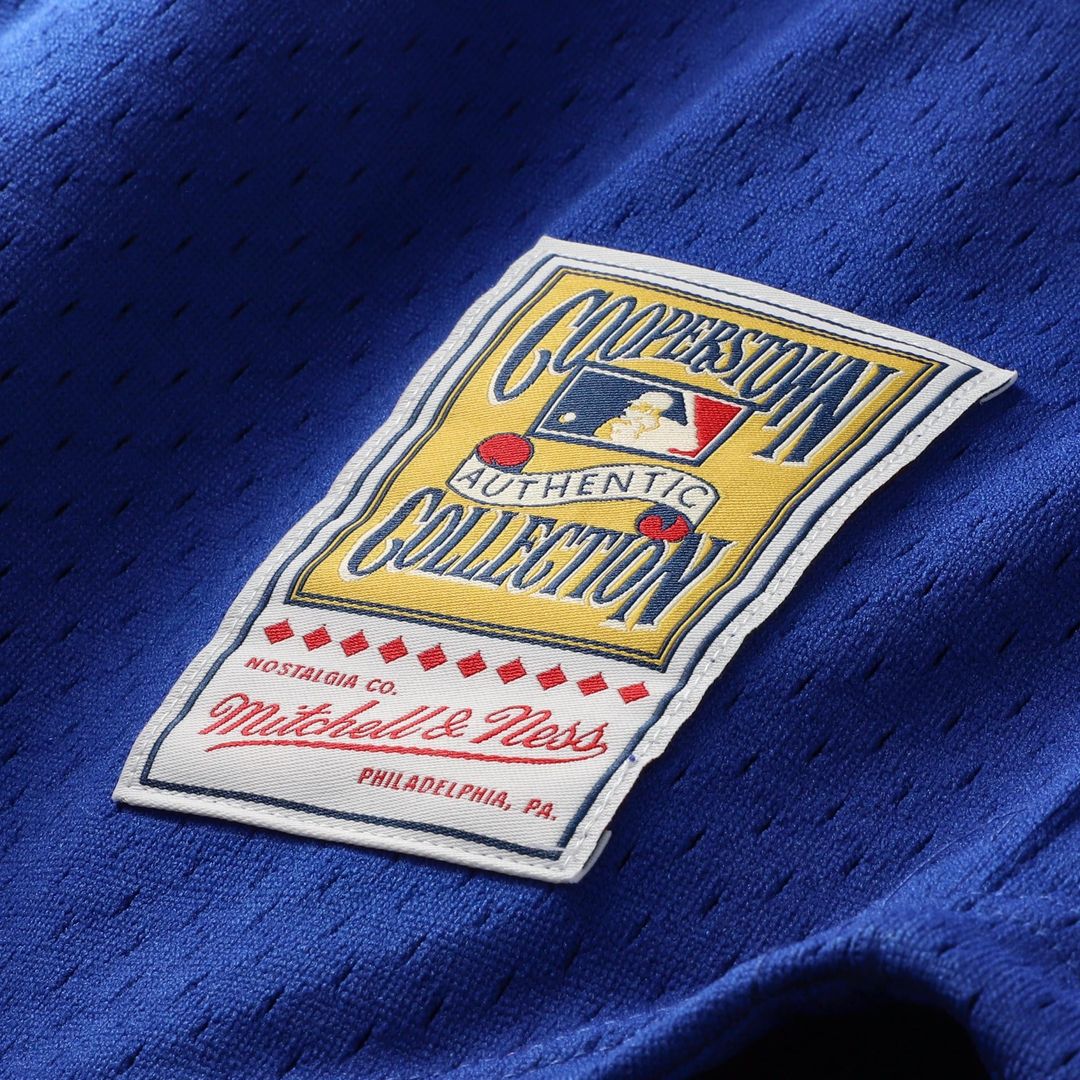 Chicago Cubs Ryne Sandberg Mitchell & Ness Royal Cooperstown Collection 1996 Mesh Batting Practice Button-Up Jersey